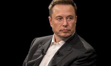 spacex valuation 800 billion ipo 2026 me