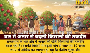 thar farmers pomegranate cultivation 10 billion trade