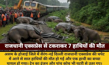 assam rajdhani express 7 elephants dead train derailed