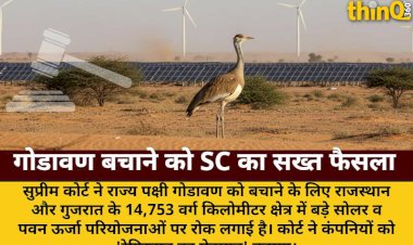 sc historic verdict great indian bustard companies guests