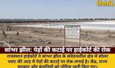 sambhar jheel me ped katne par highcourt ki rok jangal ujadne ka aarop