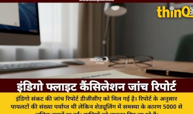 indigo flight cancellation investigation report dgca