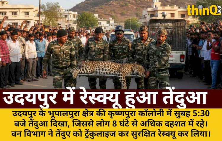 udaipur bhupalpura leopard rescue 8 hours panic