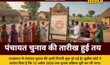 rajasthan panchayat election deadline supreme court order