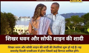 shikhar dhawan sophie shine wedding details delhi ncr