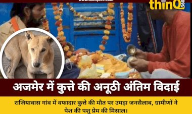 dog funeral procession with dj in ajmer rajasthan