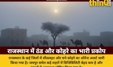 rajasthan weather update dense fog cold wave school holiday jaipur visibility zero