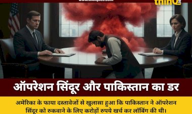 pakistan lobbied us to stop india operation sindoor fara documents