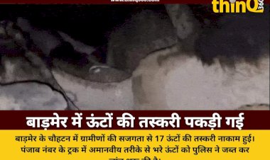 rajasthan barmer camel smuggling truck seized 17 camels rescued