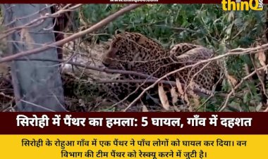 panther attack sirohi rohua village injured